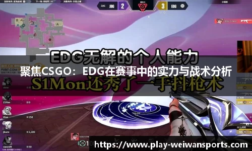 微玩体育官方网站